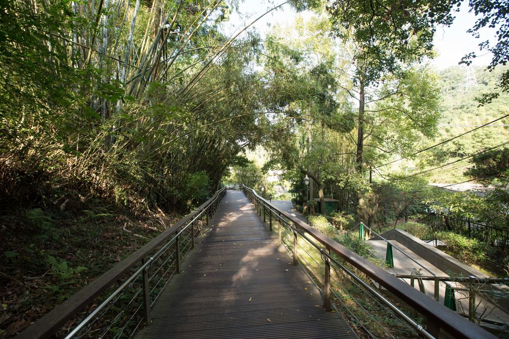 青翠蓊鬱的山林