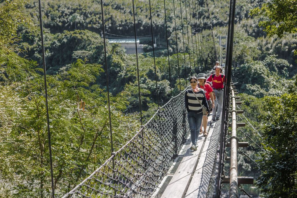 義興吊橋通行人數可達100人